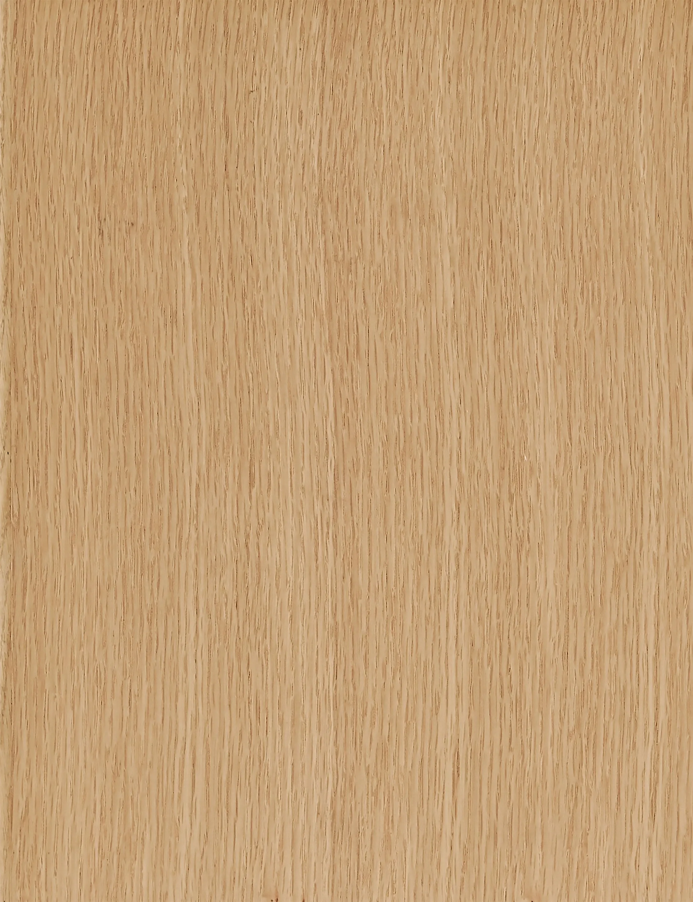 Cylia Bar Stool