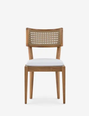 Jaz Indoor / Outdoor Dining Chair