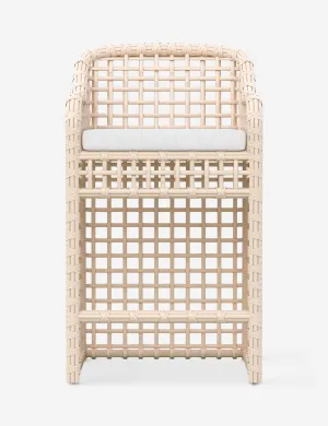 Mendoza Indoor / Outdoor Bar Stool