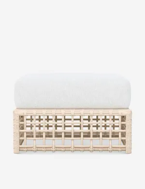 Mendoza Indoor / Outdoor Ottoman