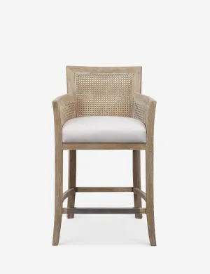 Quincey Counter Stool